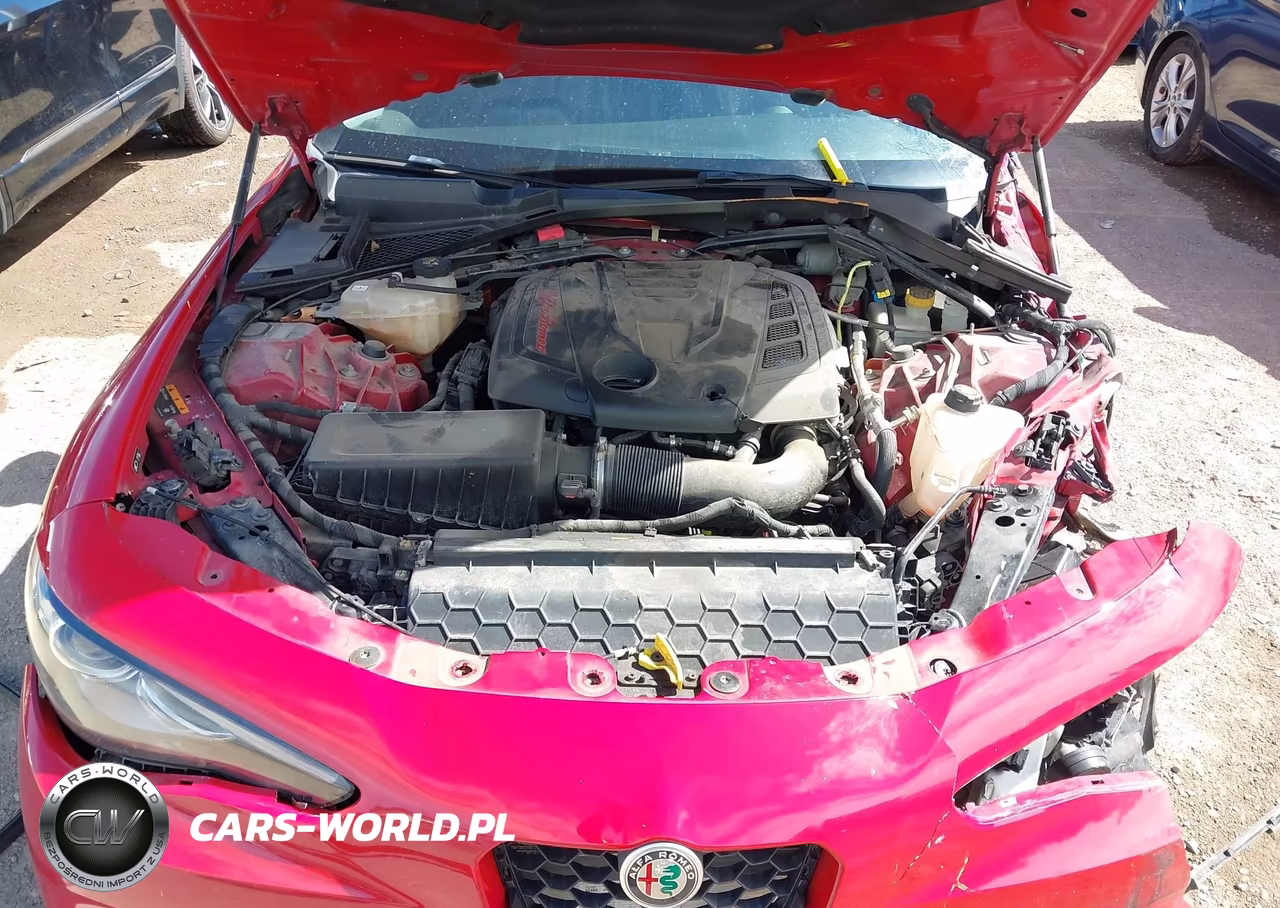 2019 Alfa Romeo Giulia Sport Rwd VIN:ZARFAMAN9K7608995 - 10