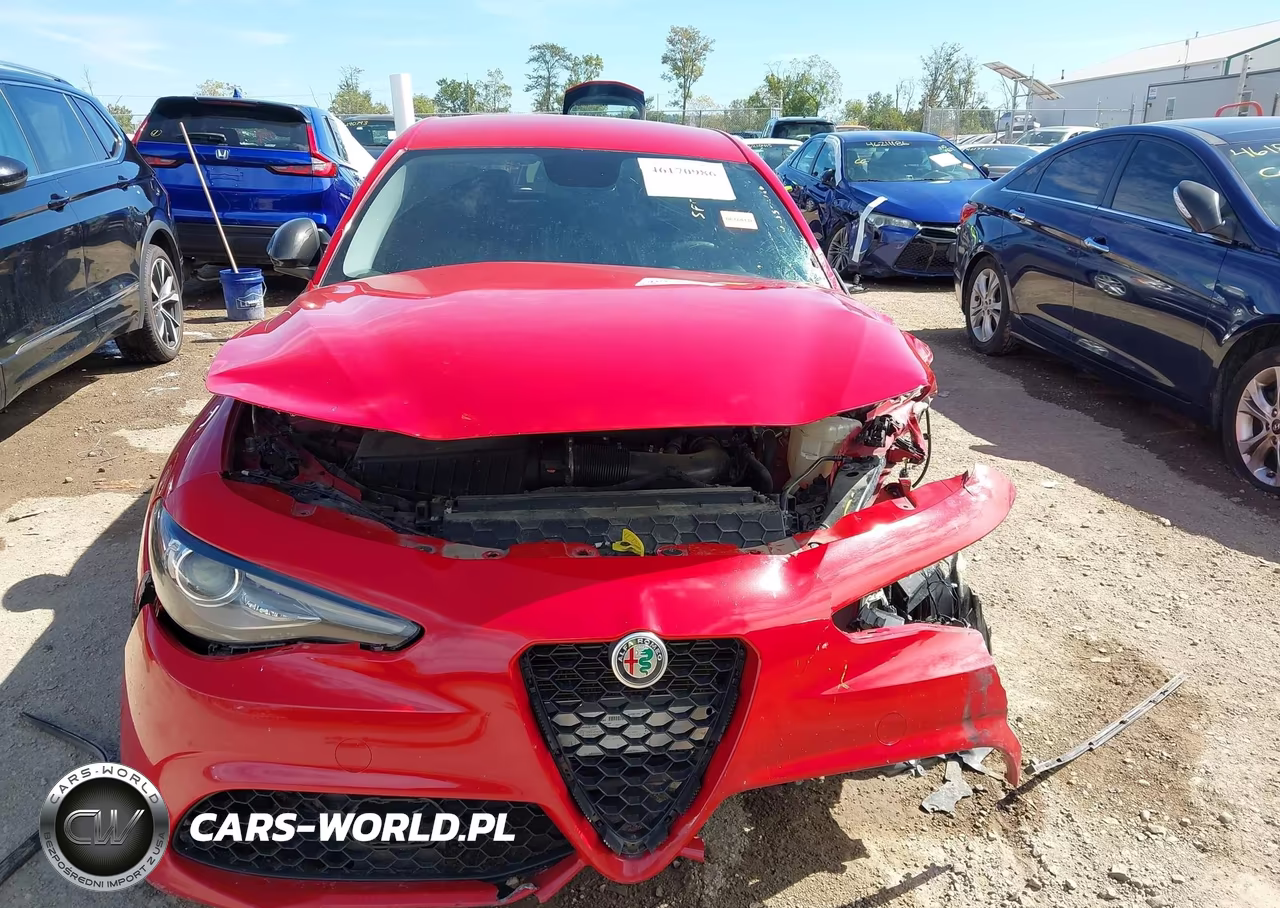 2019 Alfa Romeo Giulia Sport Rwd VIN:ZARFAMAN9K7608995 - 13