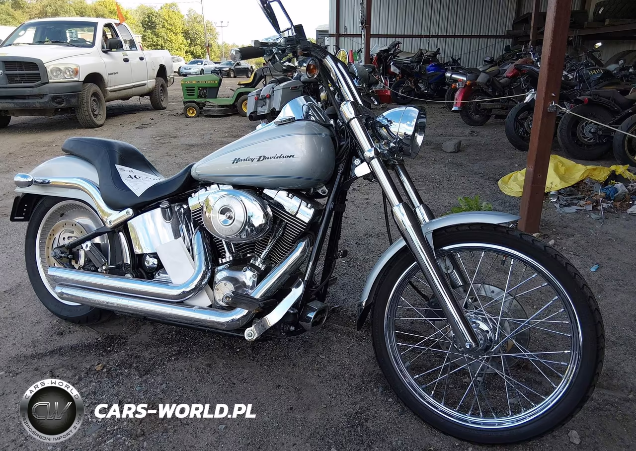 2006 Harley-Davidson Fxstd – zdjęcie 1 z 14