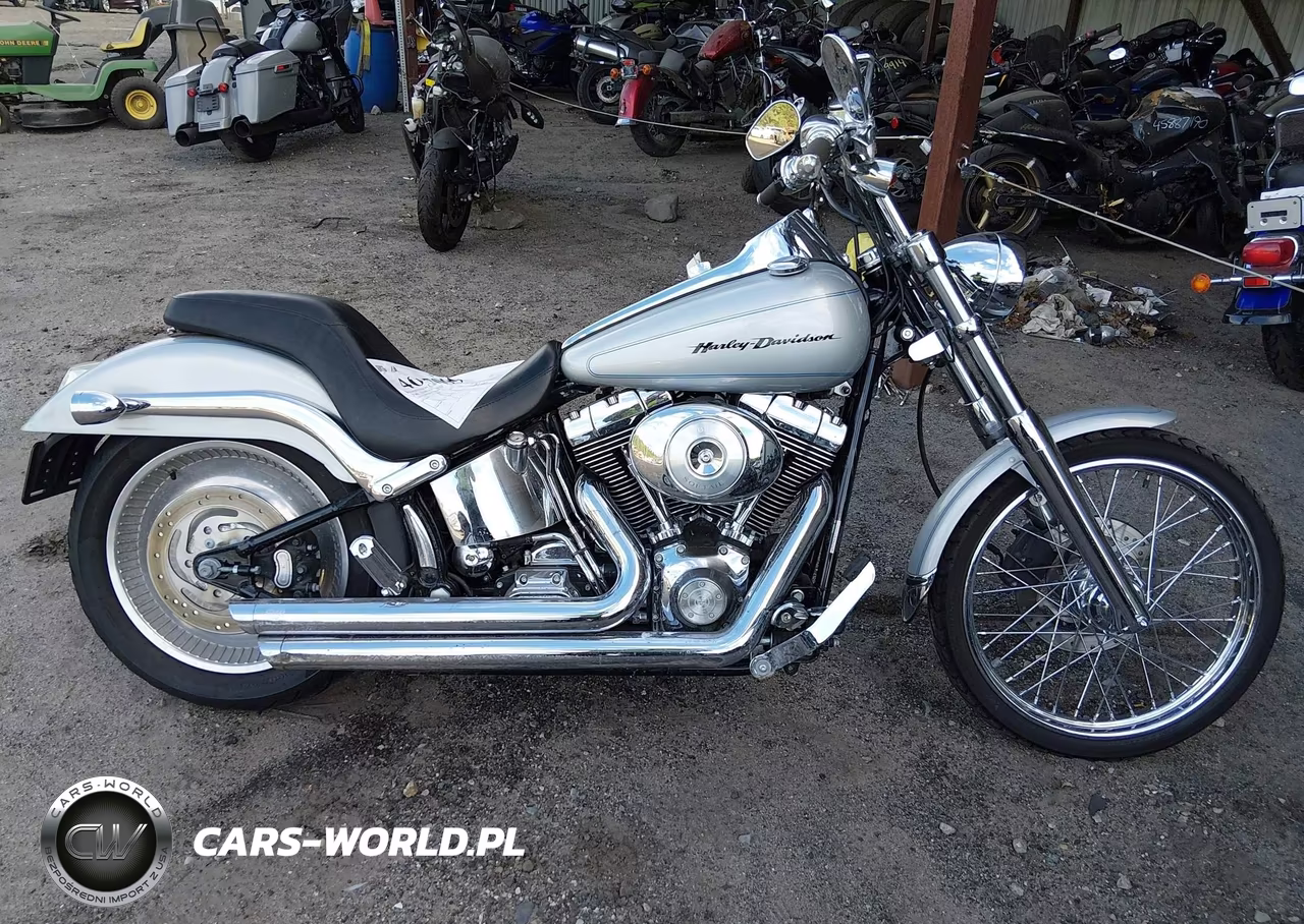 2006 Harley-Davidson Fxstd VIN:1HD1BSY1X6Y061517 - 12