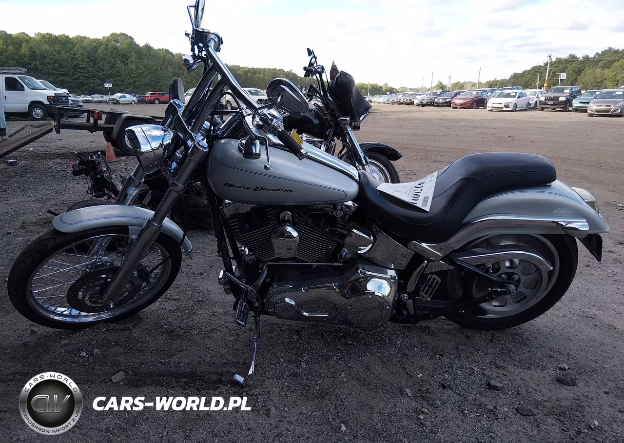 2006 Harley-Davidson Fxstd VIN:1HD1BSY1X6Y061517 - 13