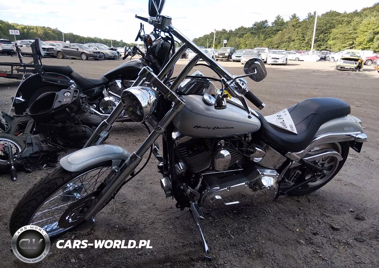 2006 Harley-Davidson Fxstd VIN:1HD1BSY1X6Y061517 - 2