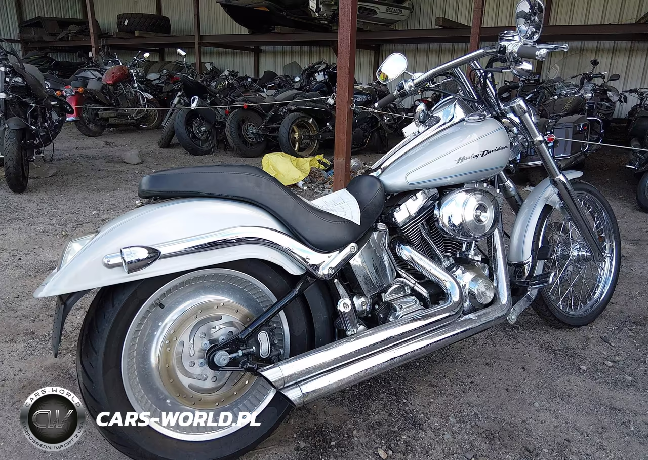 2006 Harley-Davidson Fxstd VIN:1HD1BSY1X6Y061517 - 4