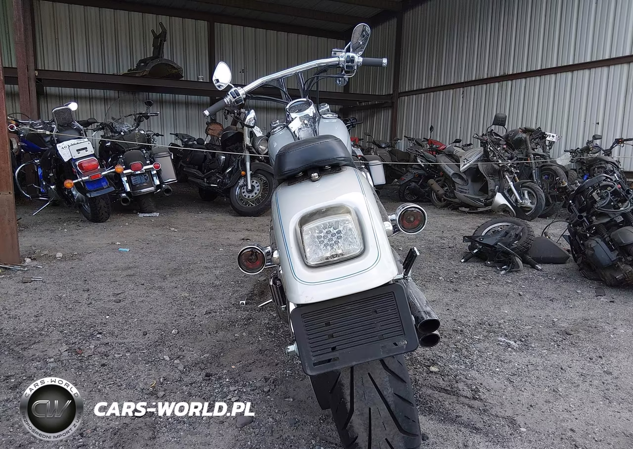 2006 Harley-Davidson Fxstd VIN:1HD1BSY1X6Y061517 - 6