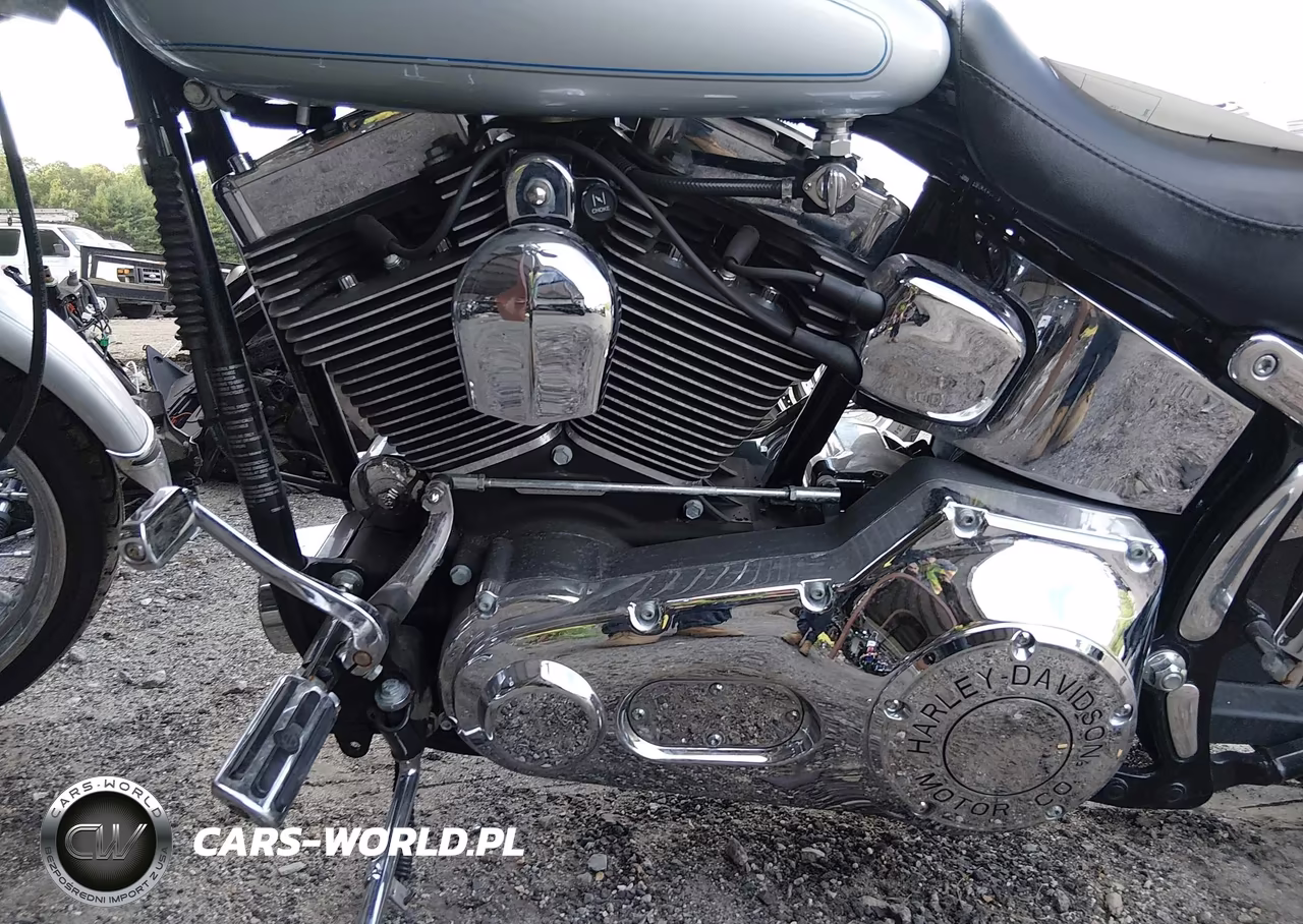 2006 Harley-Davidson Fxstd VIN:1HD1BSY1X6Y061517 - 9