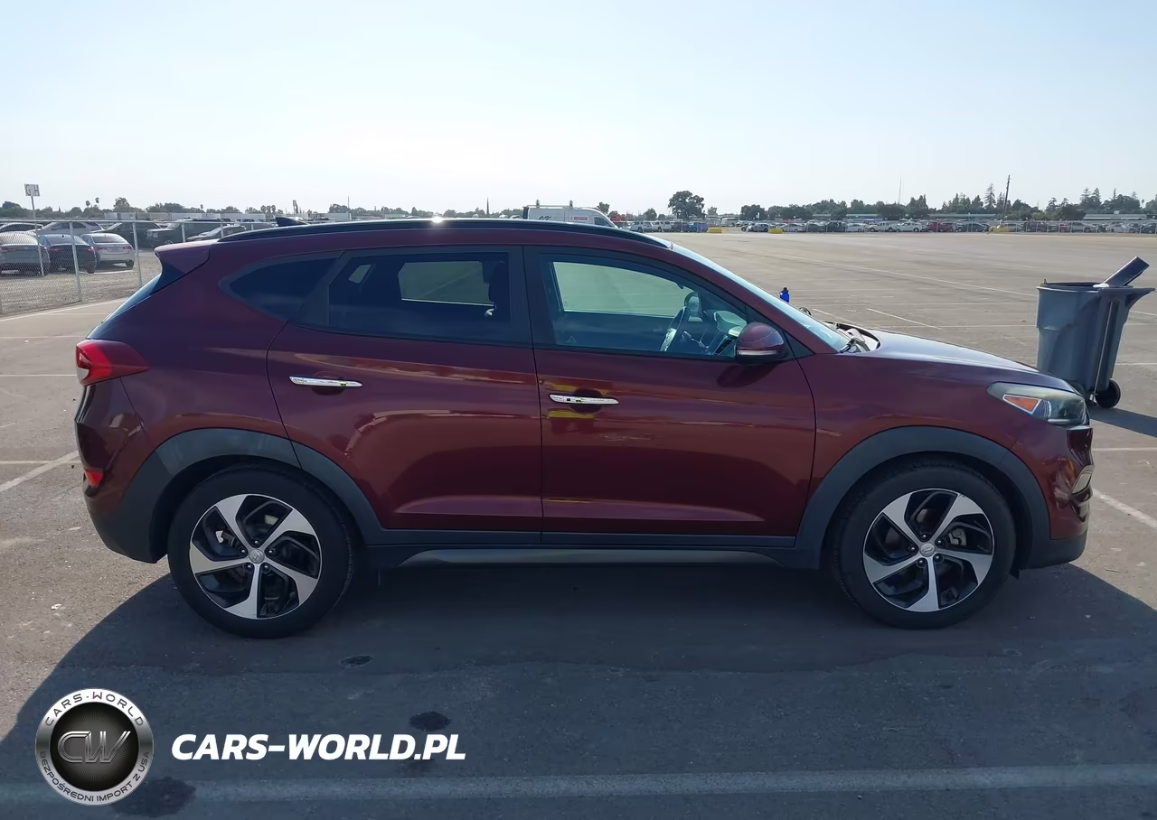 2016 Hyundai Tucson Limited-Sport And Eco-Se VIN:KM8J33A21GU183839 - 13