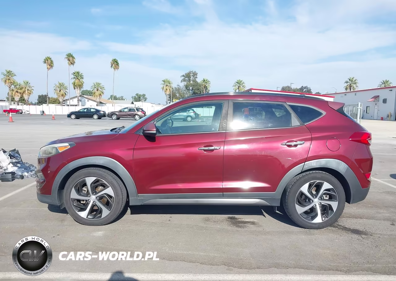 2016 Hyundai Tucson Limited-Sport And Eco-Se VIN:KM8J33A21GU183839 - 14