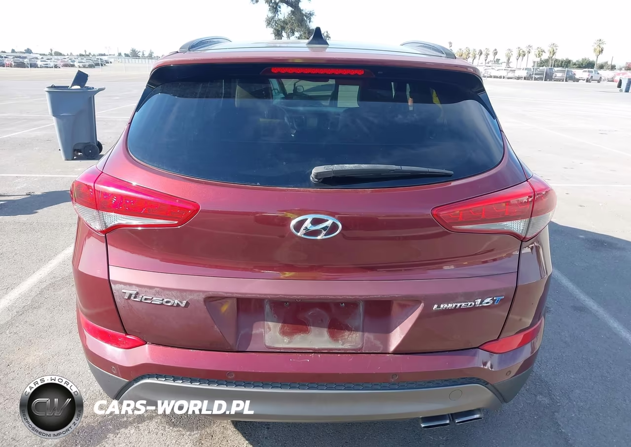 2016 Hyundai Tucson Limited-Sport And Eco-Se VIN:KM8J33A21GU183839 - 16