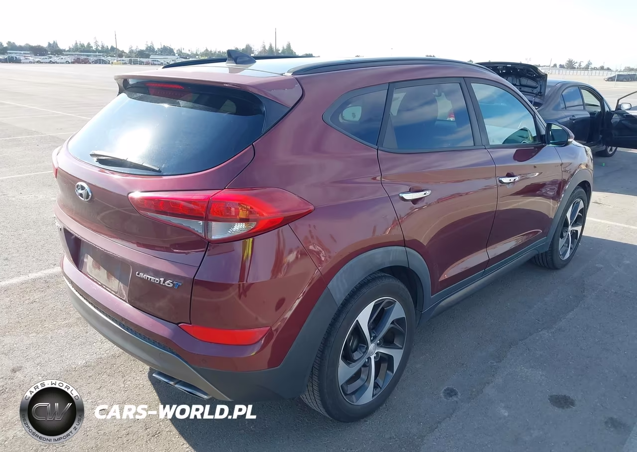 2016 Hyundai Tucson Limited-Sport And Eco-Se VIN:KM8J33A21GU183839 - 4
