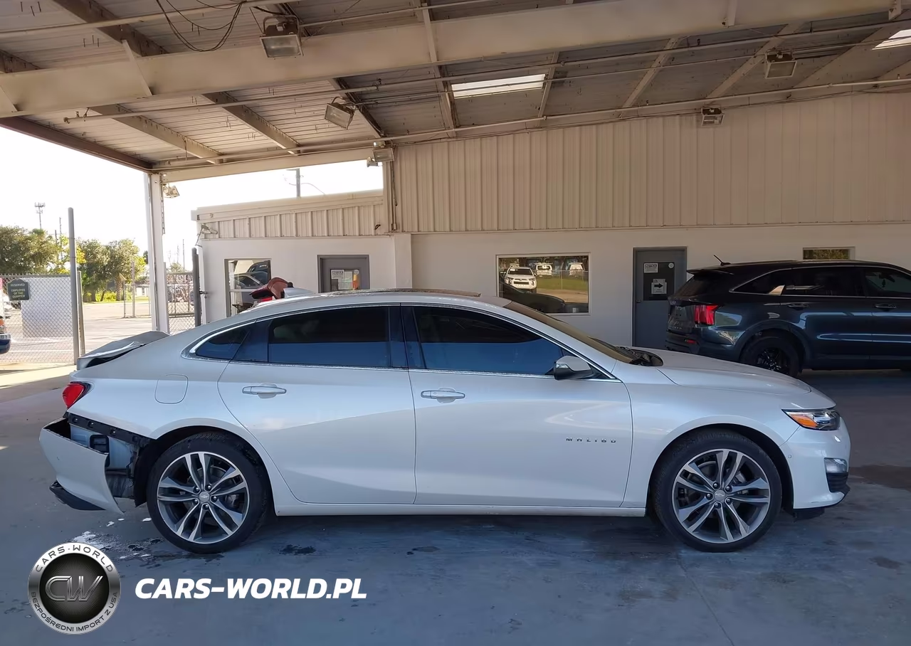 2019 Chevrolet Malibu Premier VIN:1G1ZE5SXXKF184307 - 13