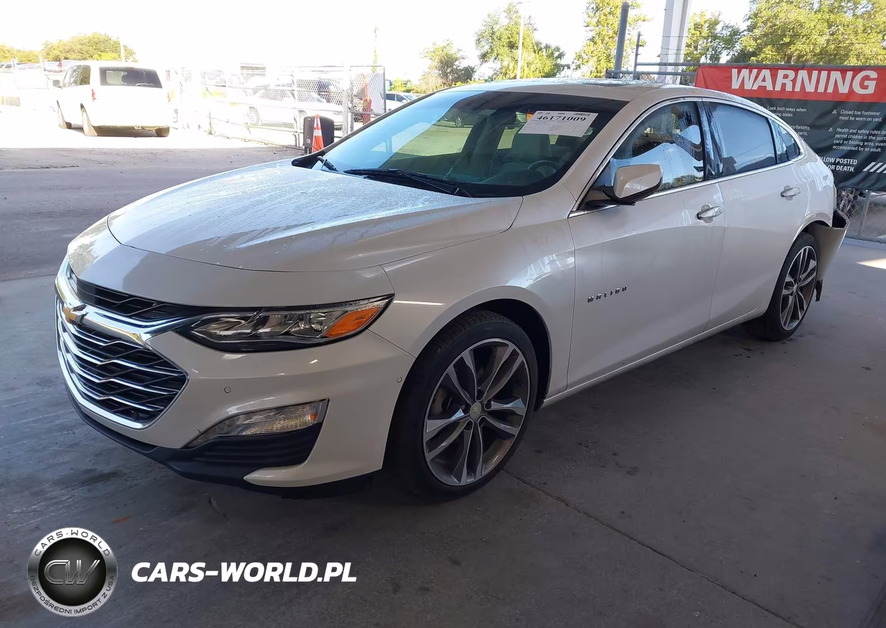 2019 Chevrolet Malibu Premier VIN:1G1ZE5SXXKF184307 - 2