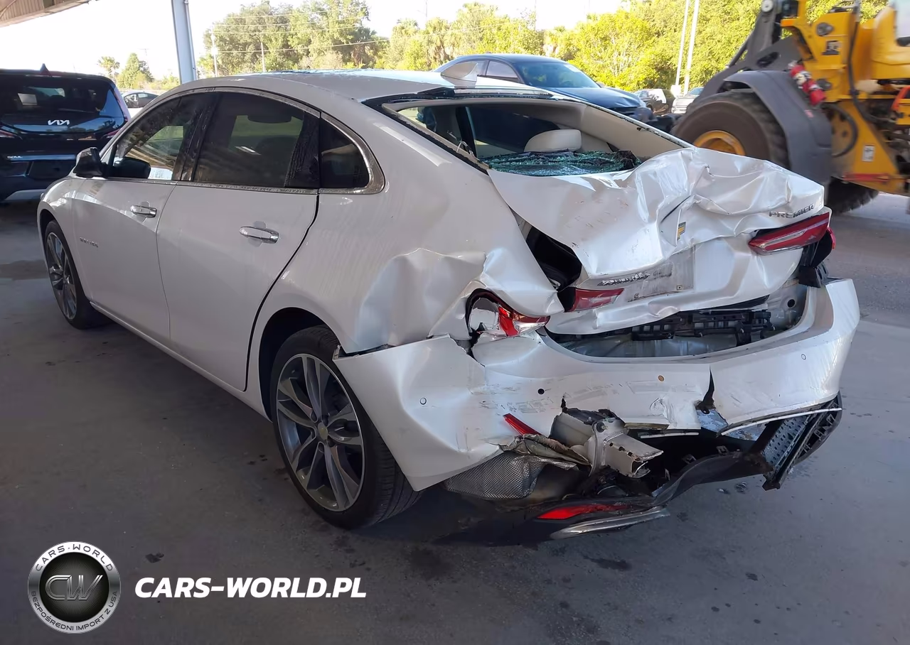 2019 Chevrolet Malibu Premier VIN:1G1ZE5SXXKF184307 - 3