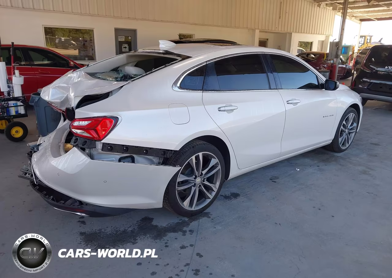 2019 Chevrolet Malibu Premier VIN:1G1ZE5SXXKF184307 - 4
