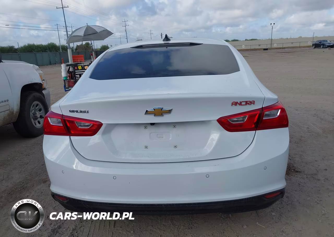 2024 Chevrolet Malibu Ls VIN:1G1ZB5ST0RF141613 - 17
