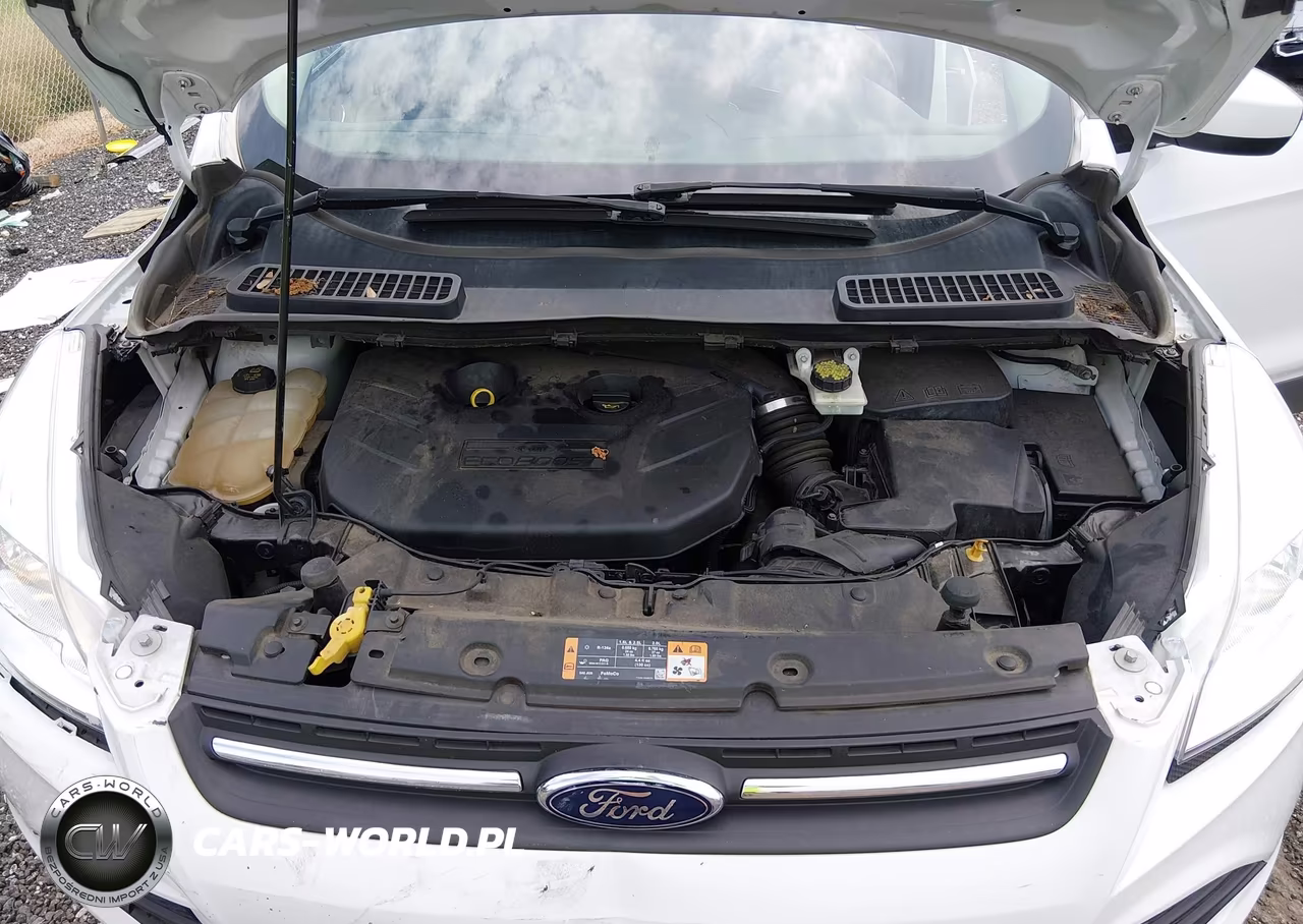 2016 Ford Escape Se VIN:1FMCU9G98GUA77434 - 10