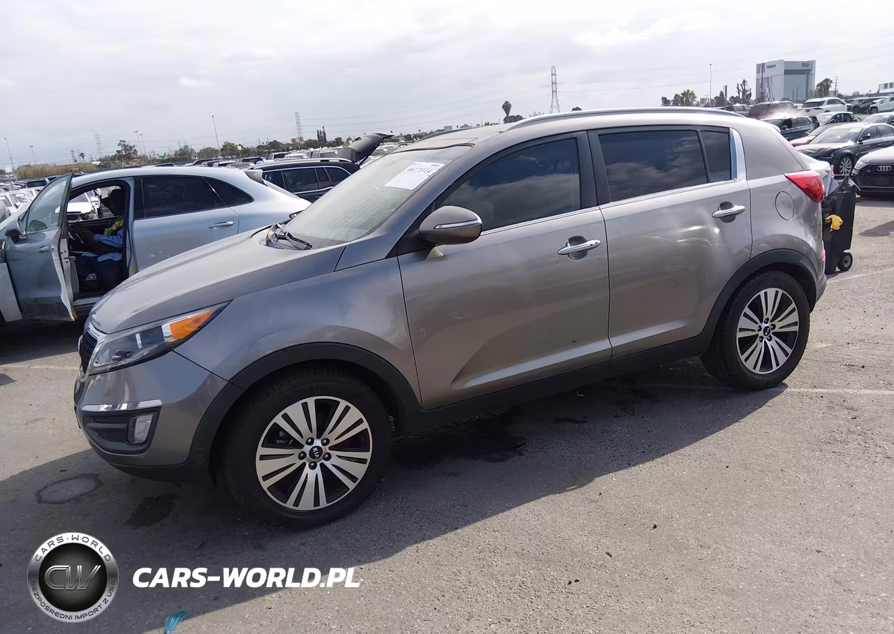 2014 Kia Sportage Ex VIN:KNDPC3AC9E7643882 - 2