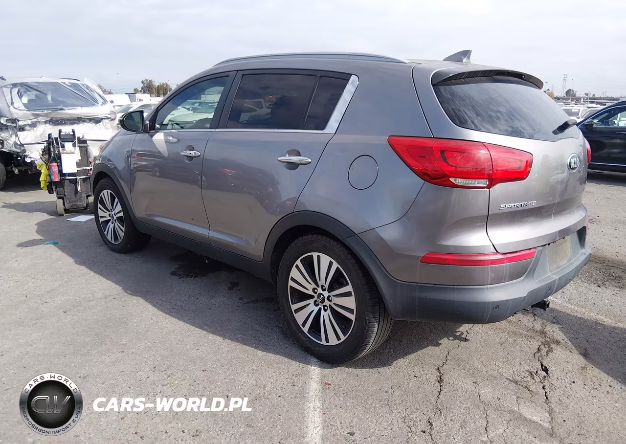 2014 Kia Sportage Ex VIN:KNDPC3AC9E7643882 - 3