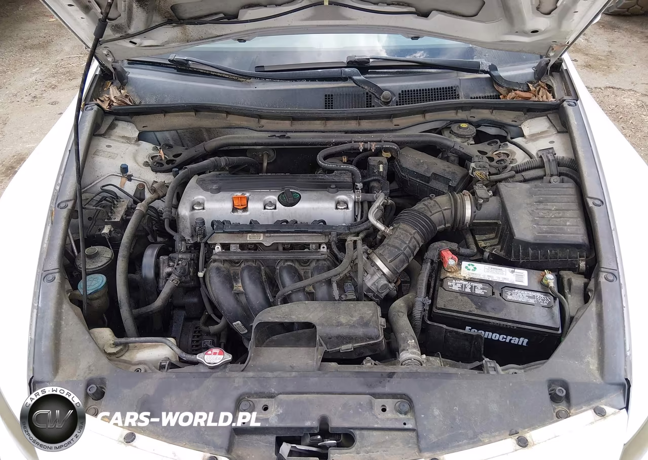 2010 Honda Accord Cpe 2.4 Ex-L-Ex-L VIN:1HGCS1B83AA014651 - 10