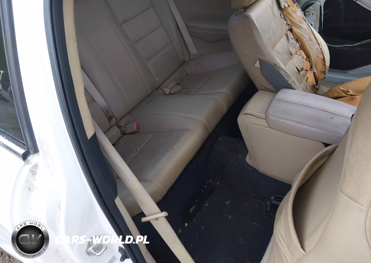 2010 Honda Accord Cpe 2.4 Ex-L-Ex-L VIN:1HGCS1B83AA014651 - 8