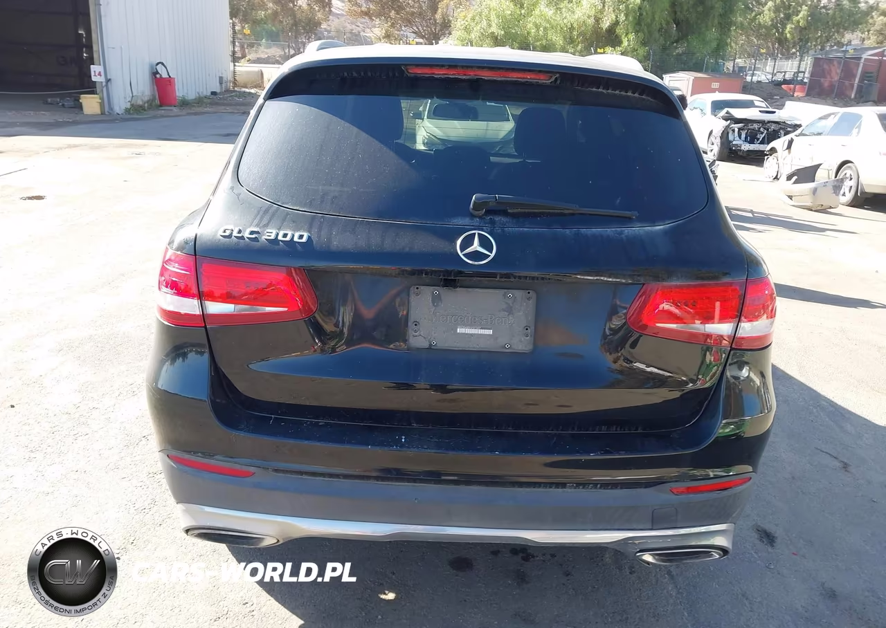 2016 Mercedes-Benz Glc 300 VIN:WDC0G4JB2GF077697 - 17