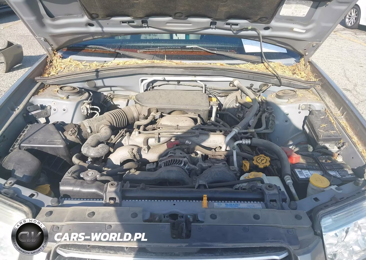 2006 Subaru Forester 2.5X VIN:JF1SG63616G730660 - 10