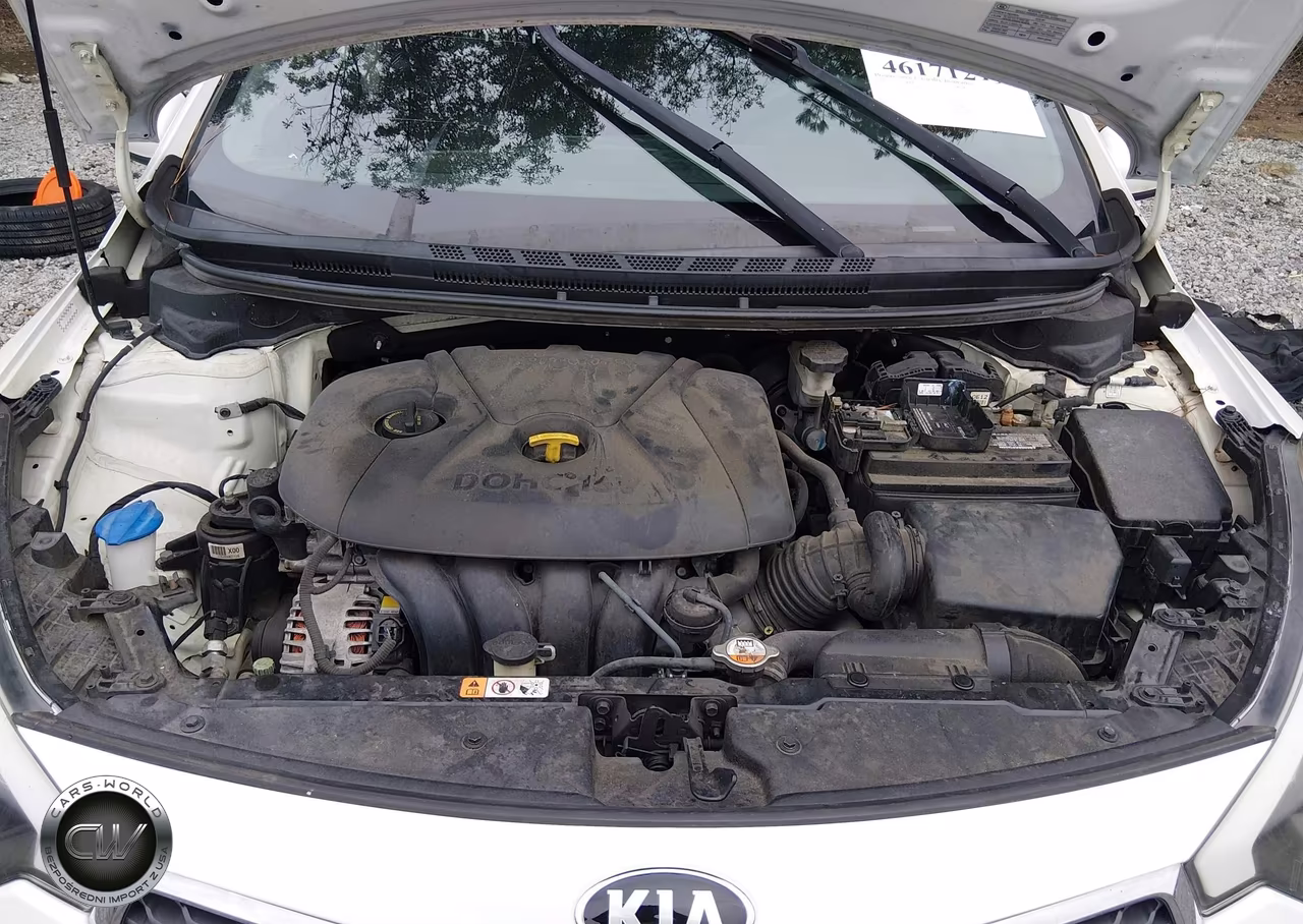 2016 Kia Forte Lx VIN:KNAFX4A67G5506063 - 10
