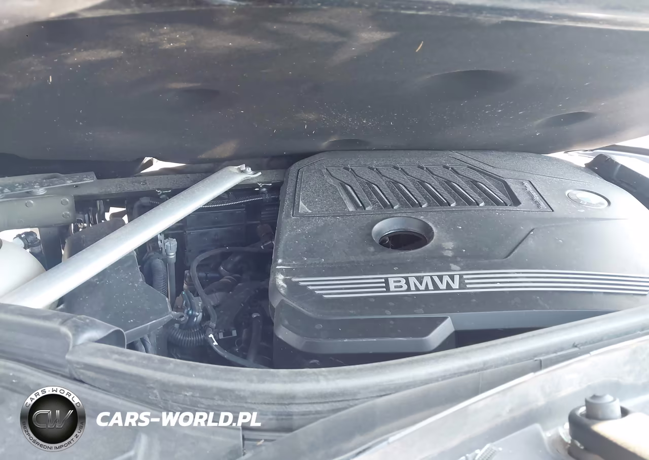 2021 BMW X5 xDrive40I VIN:5UXCR6C05M9G15311 - 10