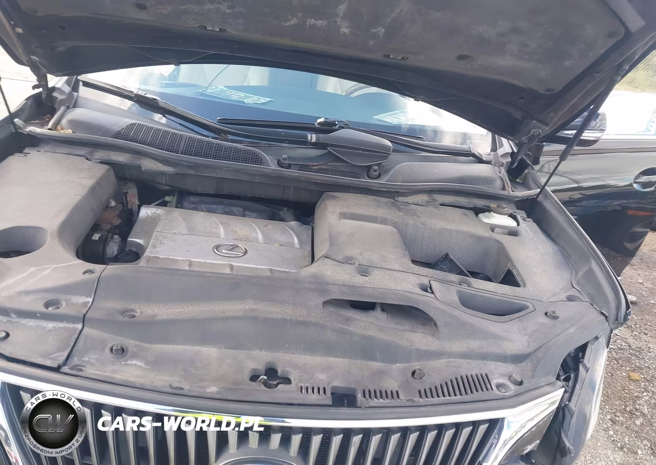2010 Lexus Rx 350 VIN:2T2BK1BA7AC010445 - 10
