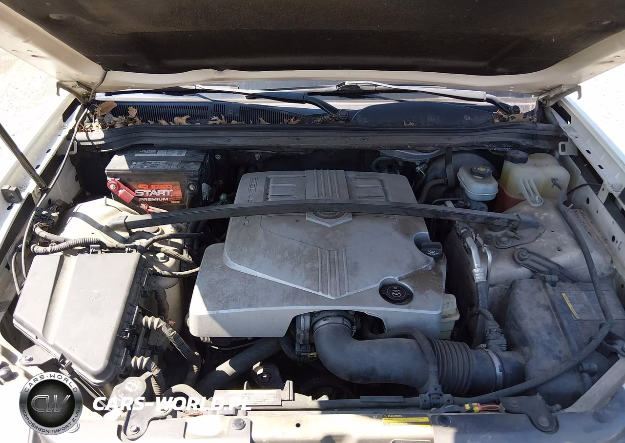 2005 Cadillac Srx V6 VIN:1GYEE637550201963 - 10