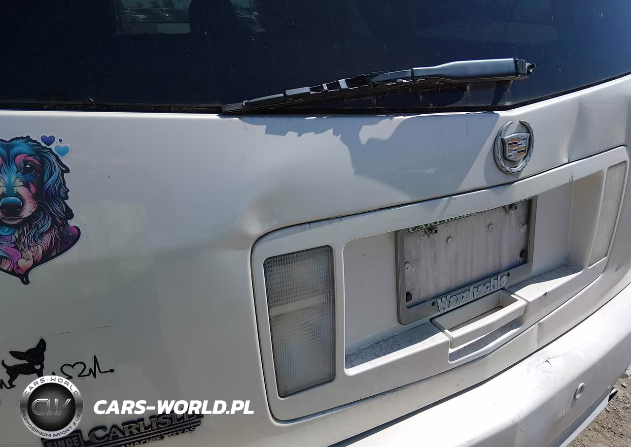 2005 Cadillac Srx V6 VIN:1GYEE637550201963 - 13
