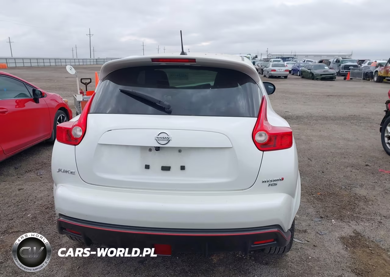 2014 Nissan Juke Nismo Rs VIN:JN8DF5MR5ET100594 - 17
