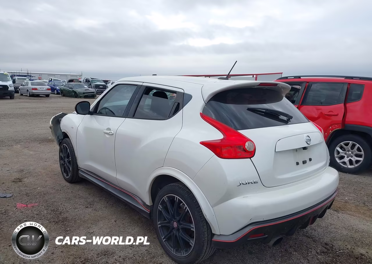 2014 Nissan Juke Nismo Rs VIN:JN8DF5MR5ET100594 - 3