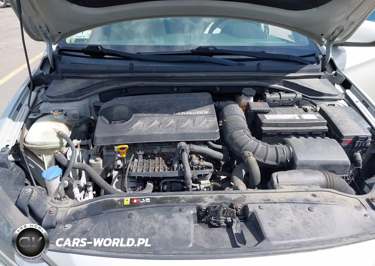 2017 Hyundai Elantra Eco VIN:5NPD94LA9HH127959 - 10