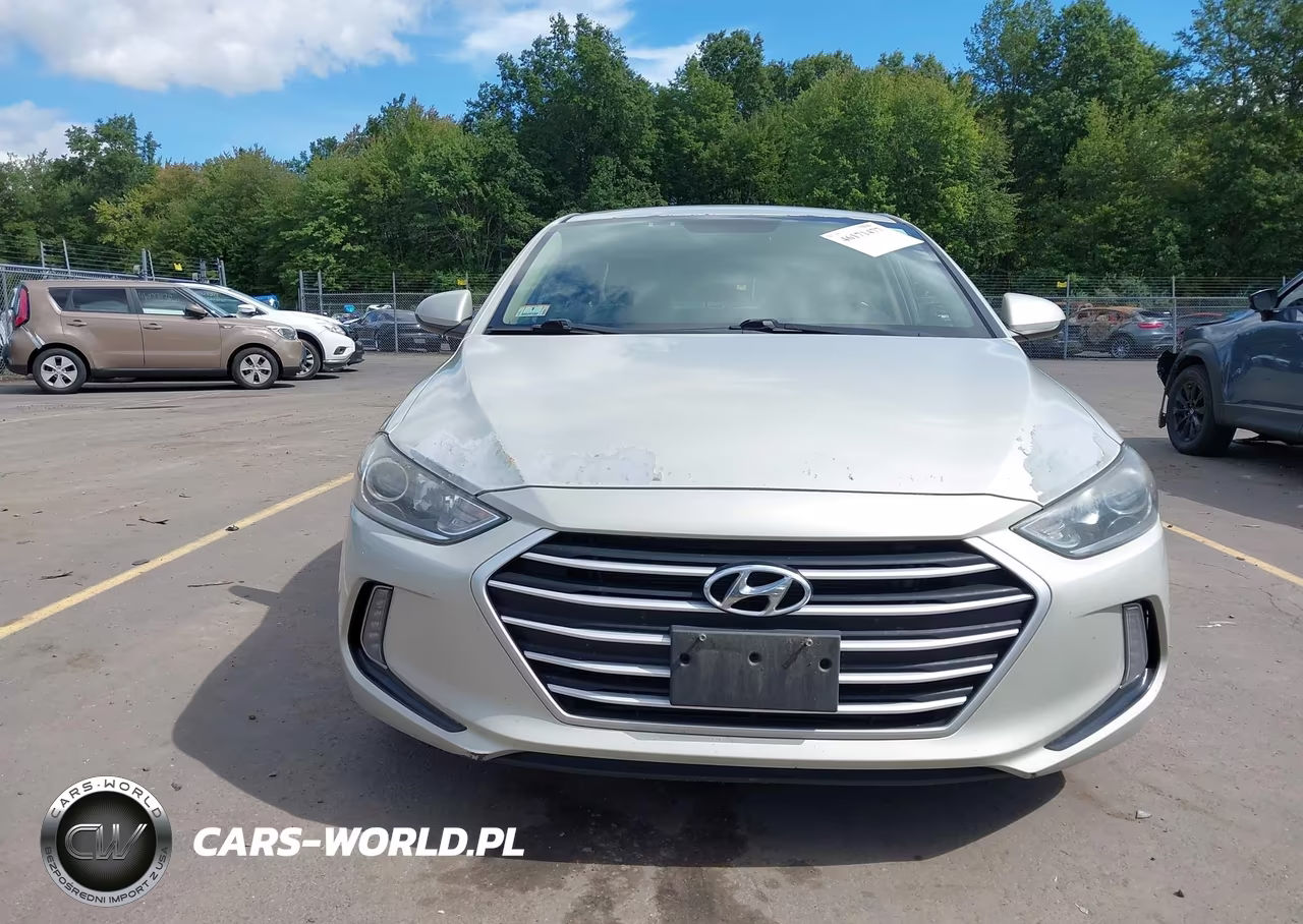 2017 Hyundai Elantra Eco VIN:5NPD94LA9HH127959 - 6