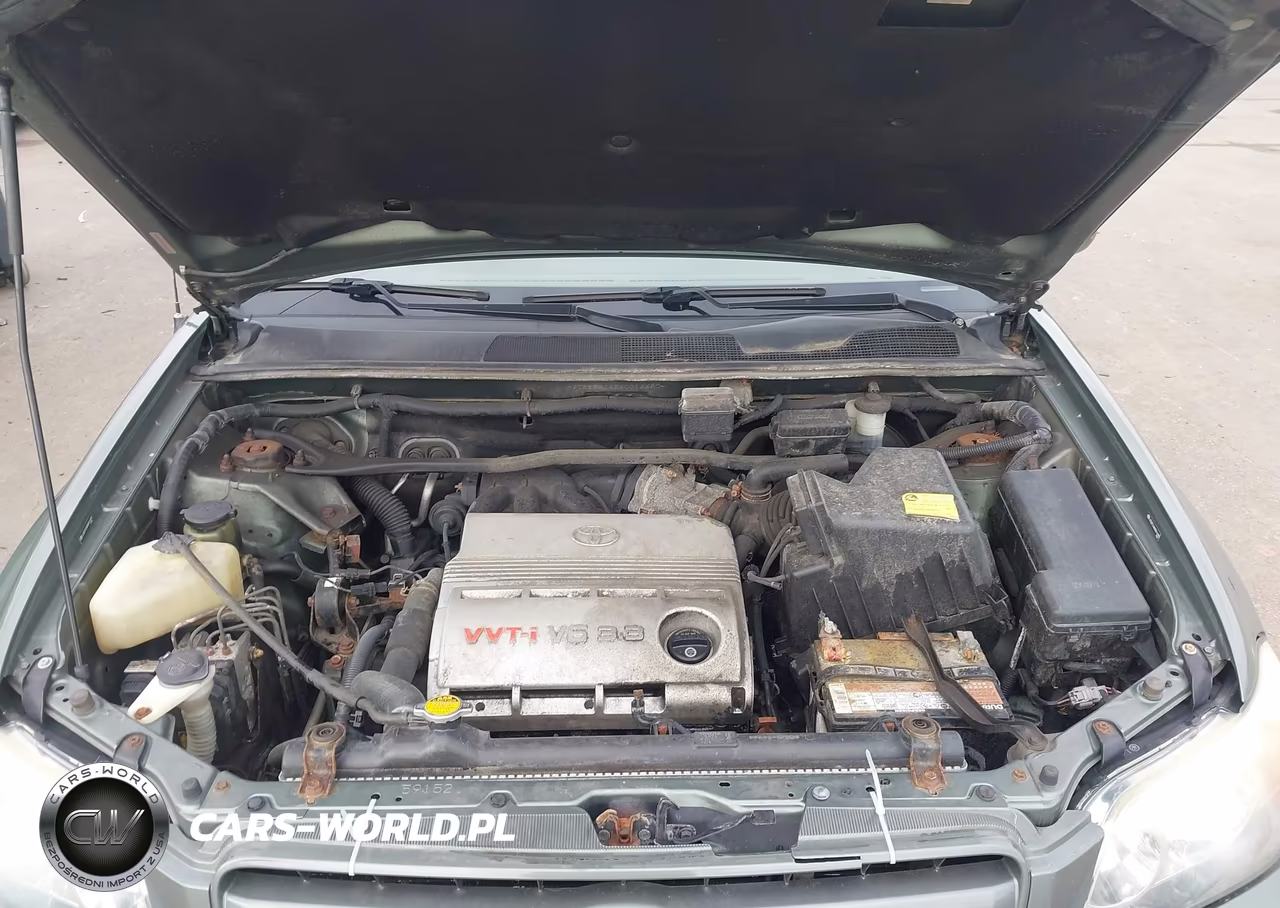 2004 Toyota Highlander V6 VIN:JTEEP21A840016680 - 10