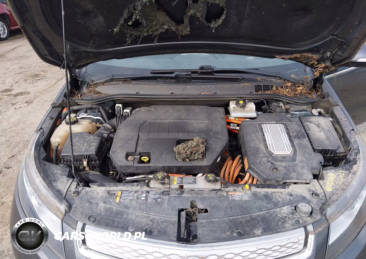 2013 Chevrolet Volt VIN:1G1RA6E49DU133317 - 10