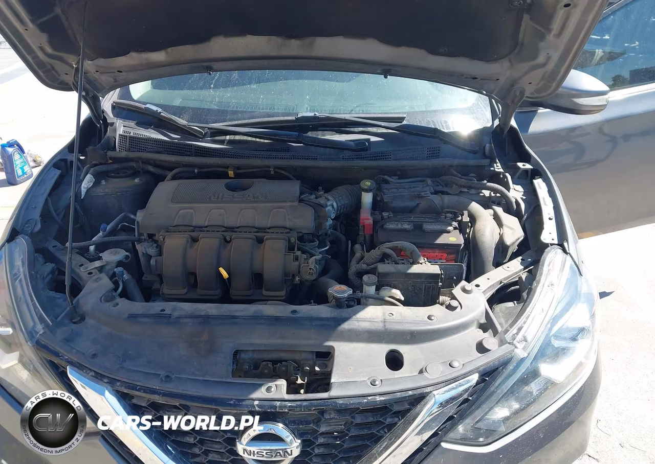 2016 Nissan Sentra Fe+ S-S-Sl-Sr-Sv VIN:3N1AB7AP4GY273786 - 10
