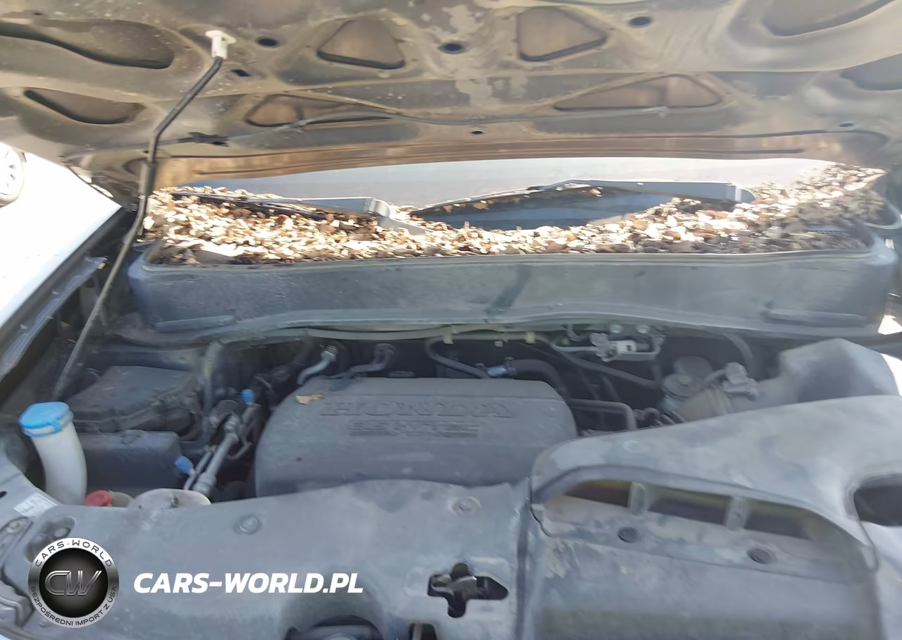2014 Honda Pilot Ex-L VIN:5FNYF3H53EB011117 - 10