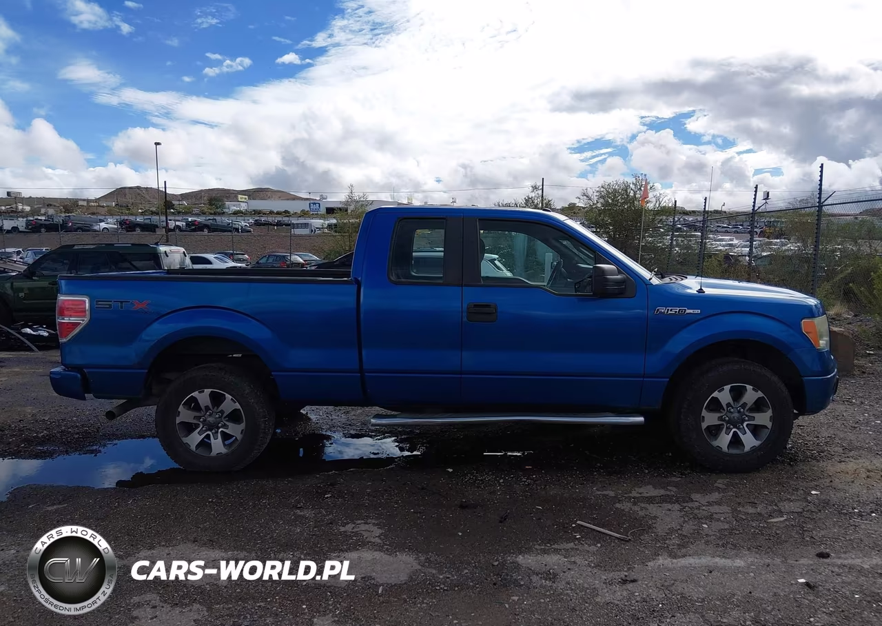 2013 Ford F-150 Stx VIN:1FTFX1EF7DFA21648 - 13