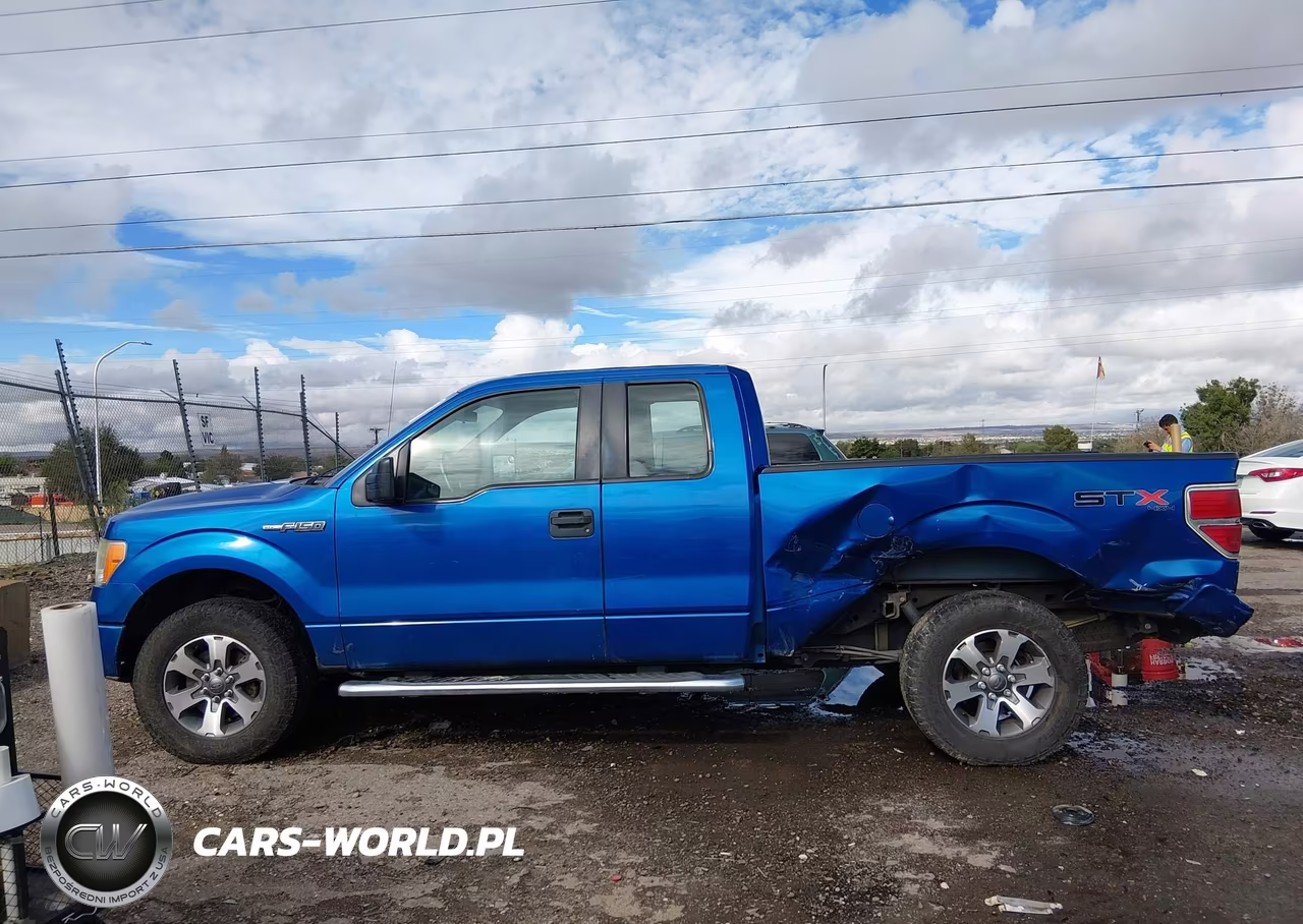 2013 Ford F-150 Stx VIN:1FTFX1EF7DFA21648 - 14