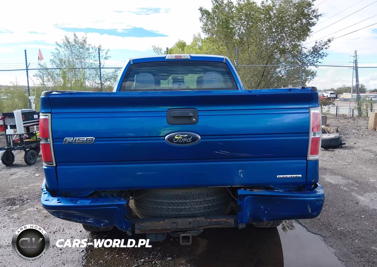 2013 Ford F-150 Stx VIN:1FTFX1EF7DFA21648 - 16