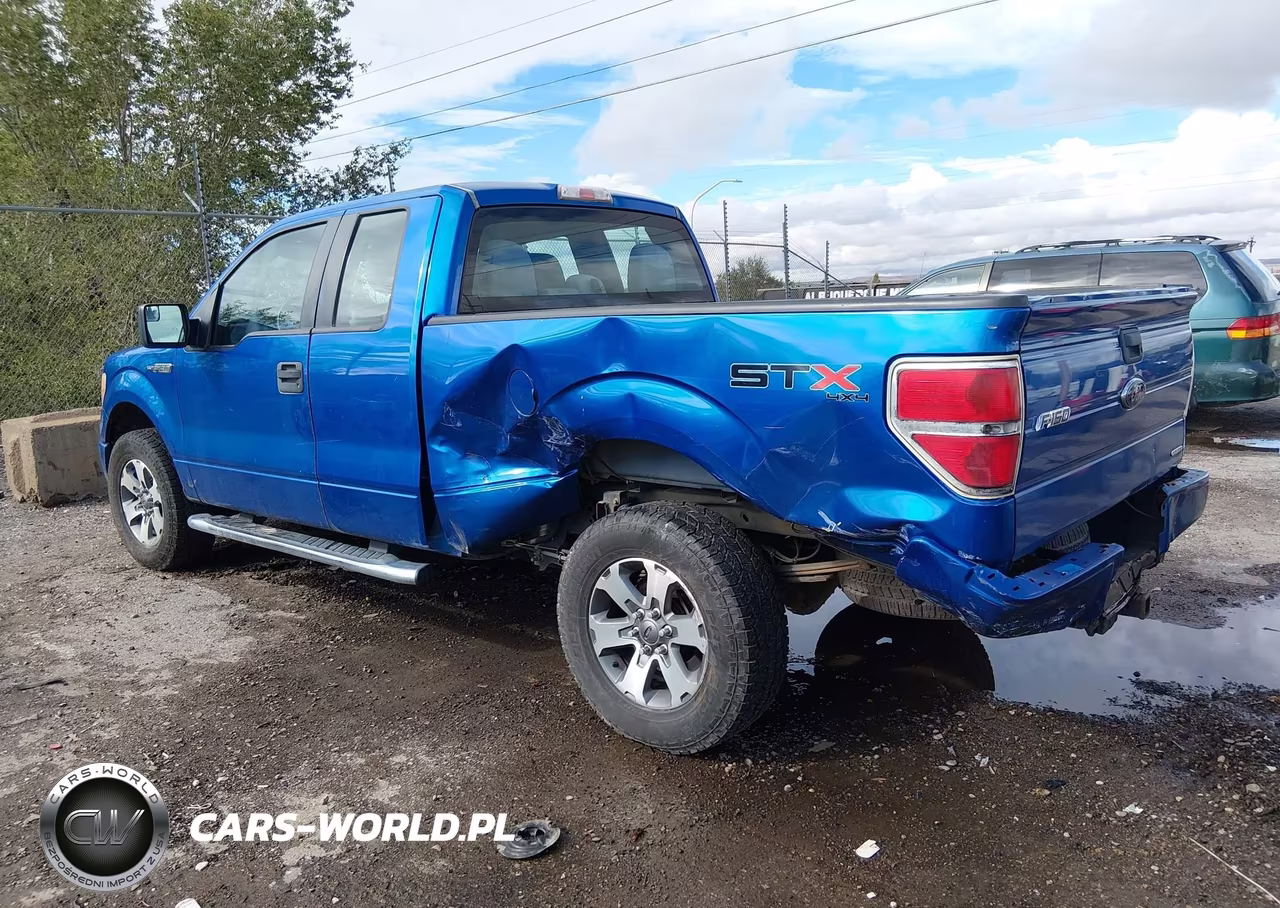 2013 Ford F-150 Stx VIN:1FTFX1EF7DFA21648 - 3