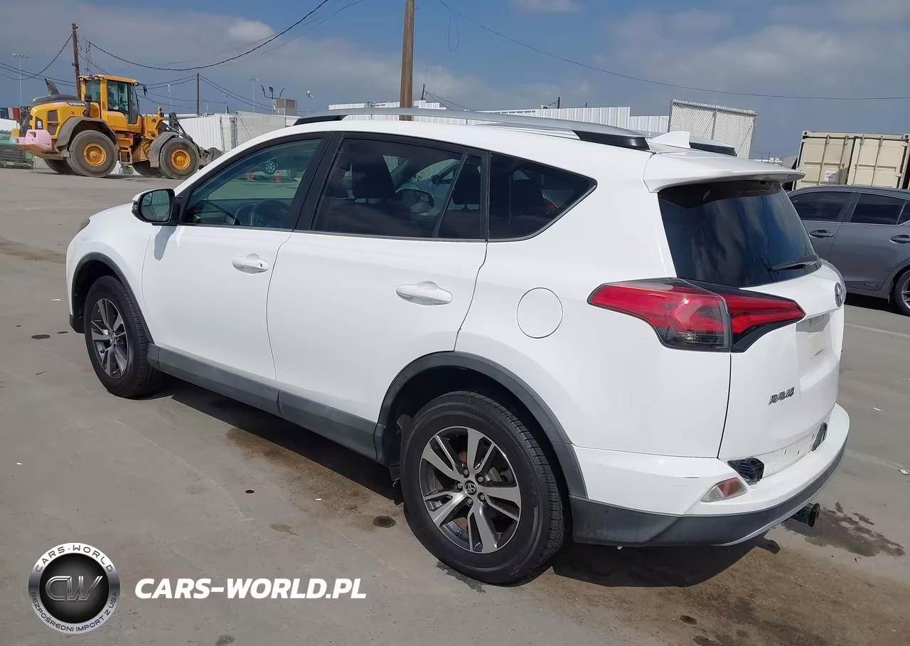 2016 Toyota Rav4 Xle VIN:2T3WFREV7GW242629 - 3