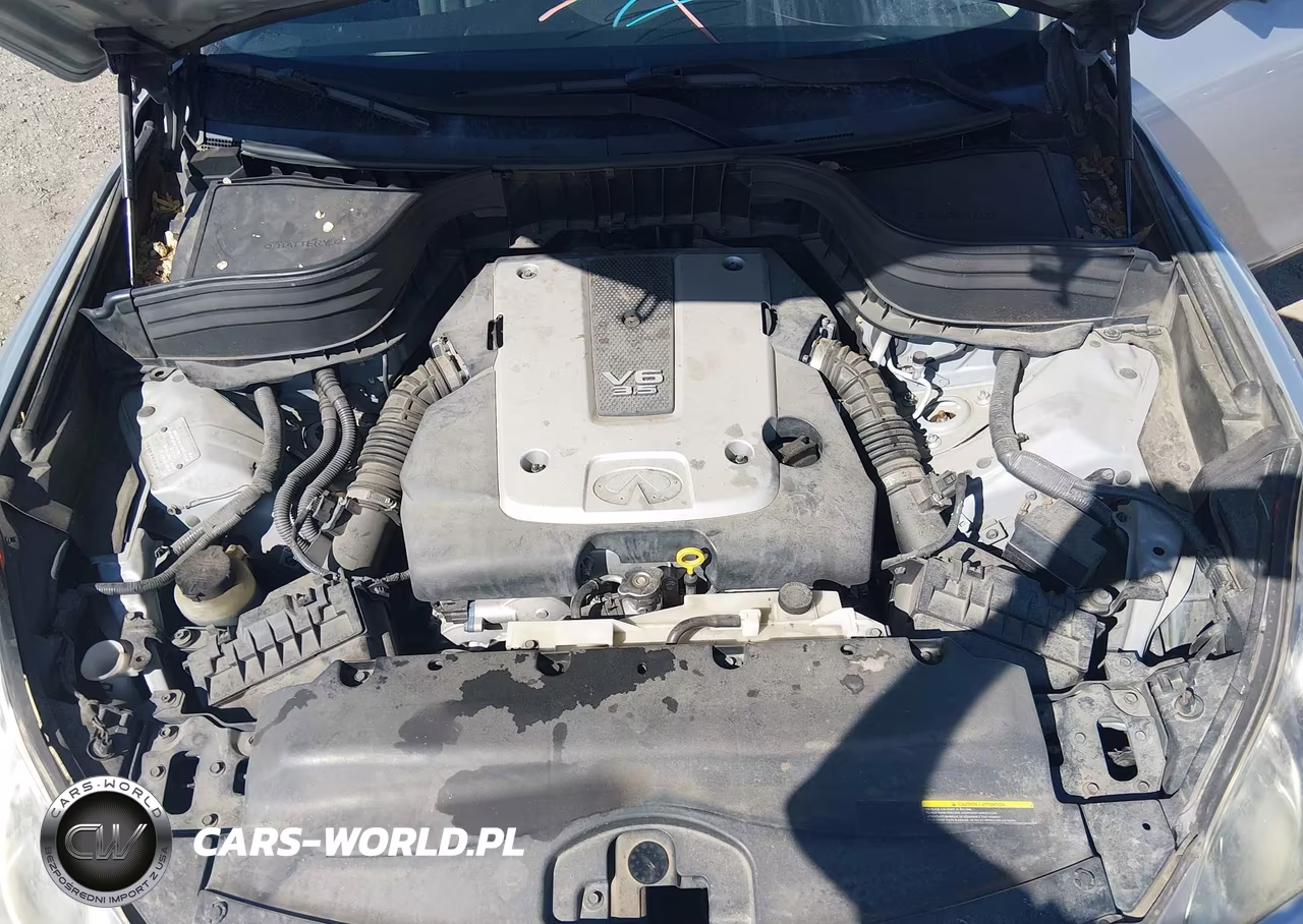 2009 Infiniti Ex35 Journey VIN:JNKAJ09F79M951860 - 10
