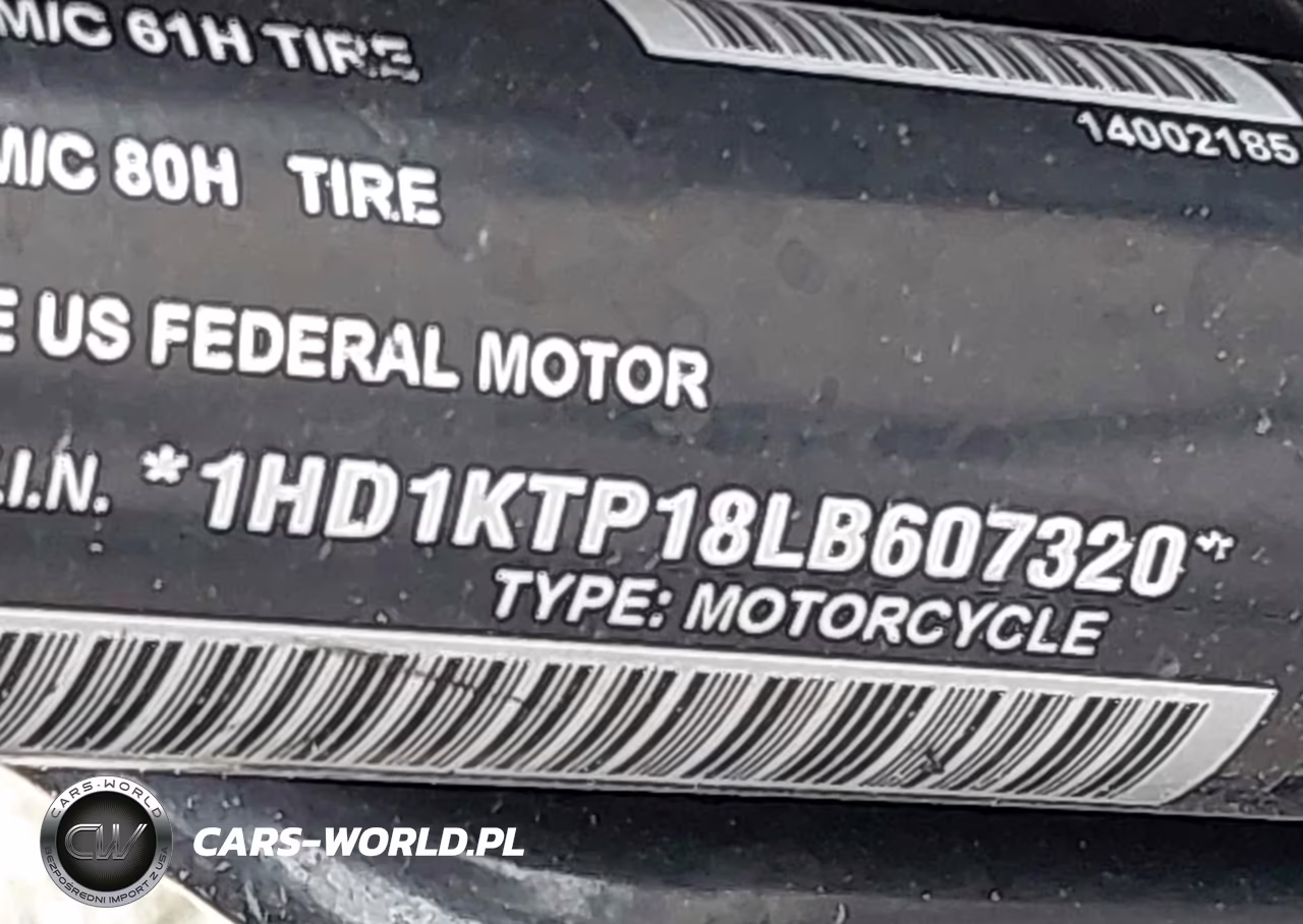 2020 Harley-Davidson Fltrxs VIN:1HD1KTP18LB607320 - 10