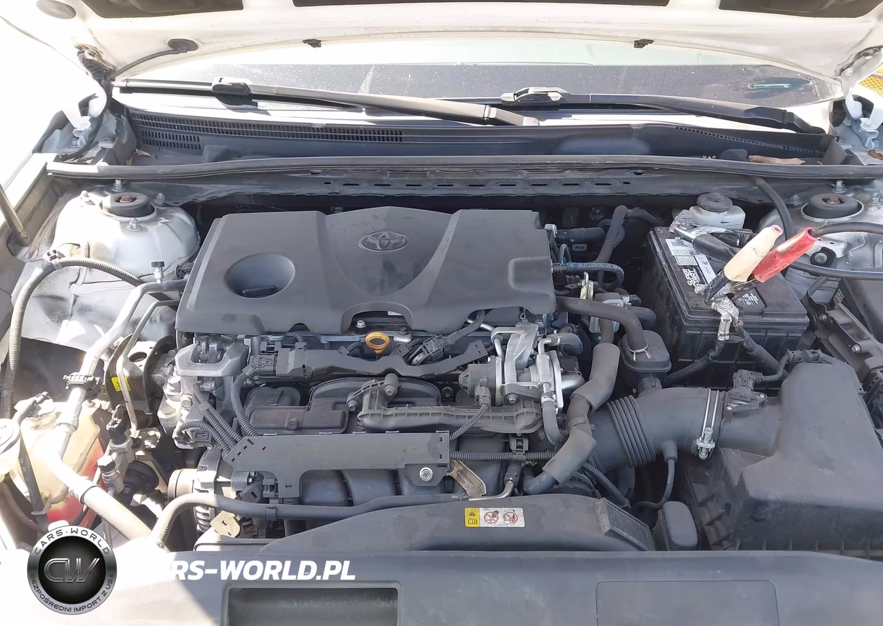 2019 Toyota Camry Se VIN:4T1B11HK7KU841063 - 10
