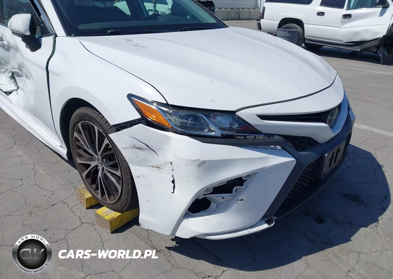 2019 Toyota Camry Se VIN:4T1B11HK7KU841063 - 12