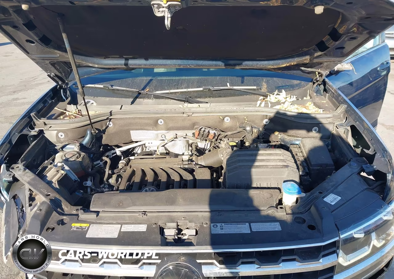 2019 Volkswagen Atlas 3.6L V6 Sel Premium VIN:1V2NR2CA1KC545779 - 10