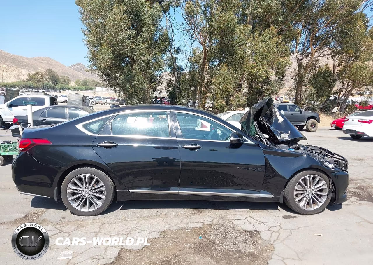 2015 Hyundai Genesis 3.8 VIN:KMHGN4JE6FU084520 - 13