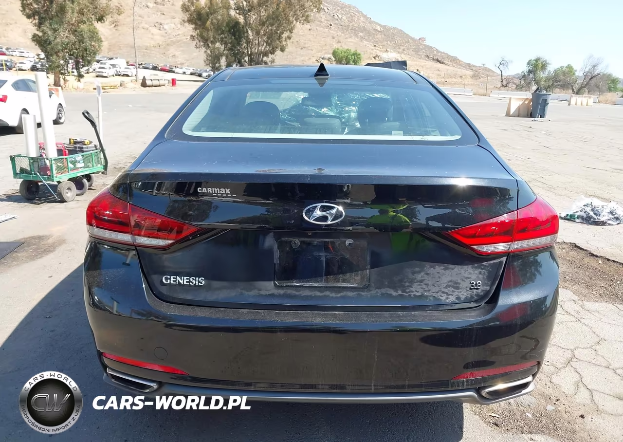 2015 Hyundai Genesis 3.8 VIN:KMHGN4JE6FU084520 - 16